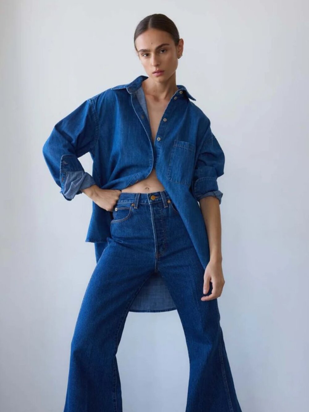 NWT Jamie Haller the Essential Shirt in Farrah Indigo